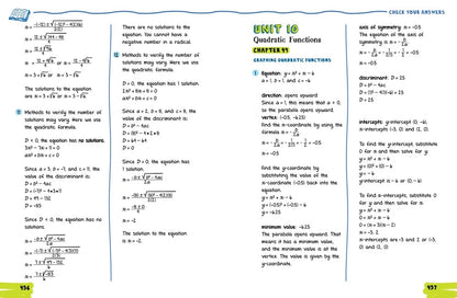 The Big Fat High School Algebra 1 Workbook