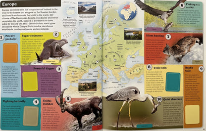 Animals of The World (with Stickers)