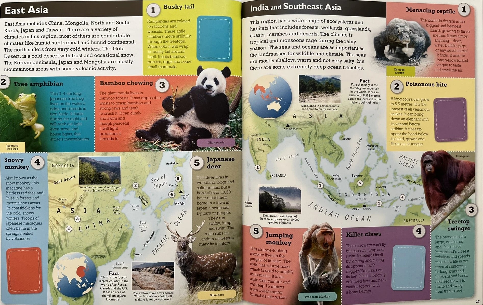 Animals of The World (with Stickers)