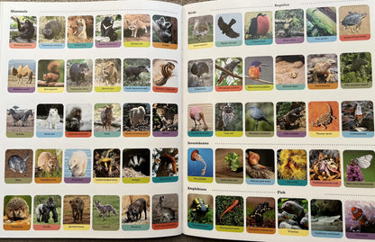 Animals of The World (with Stickers)