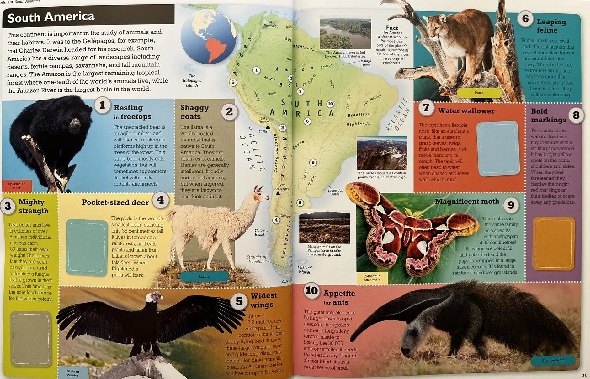 Animals of The World (with Stickers)