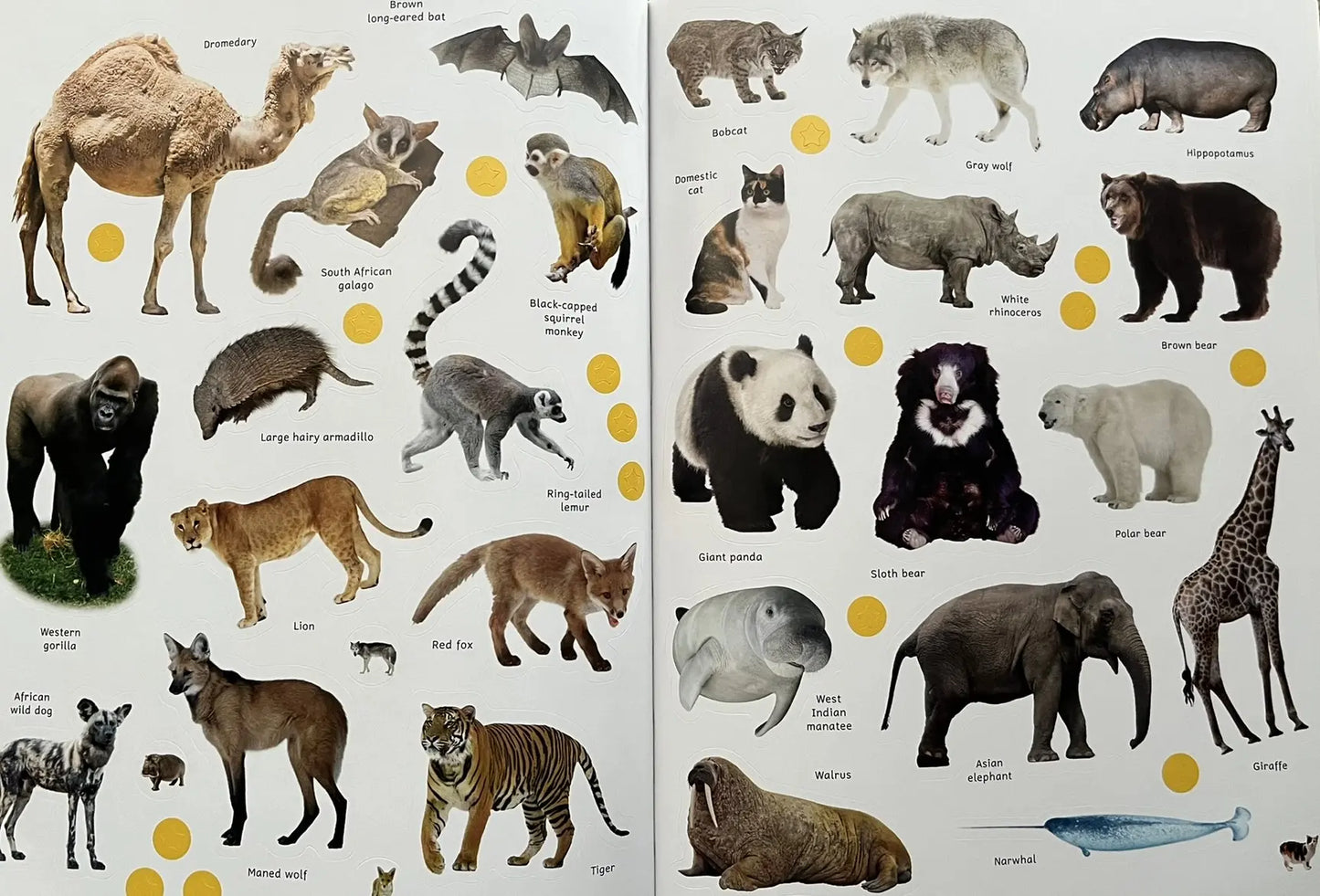 Sticker Encyclopedia Animals