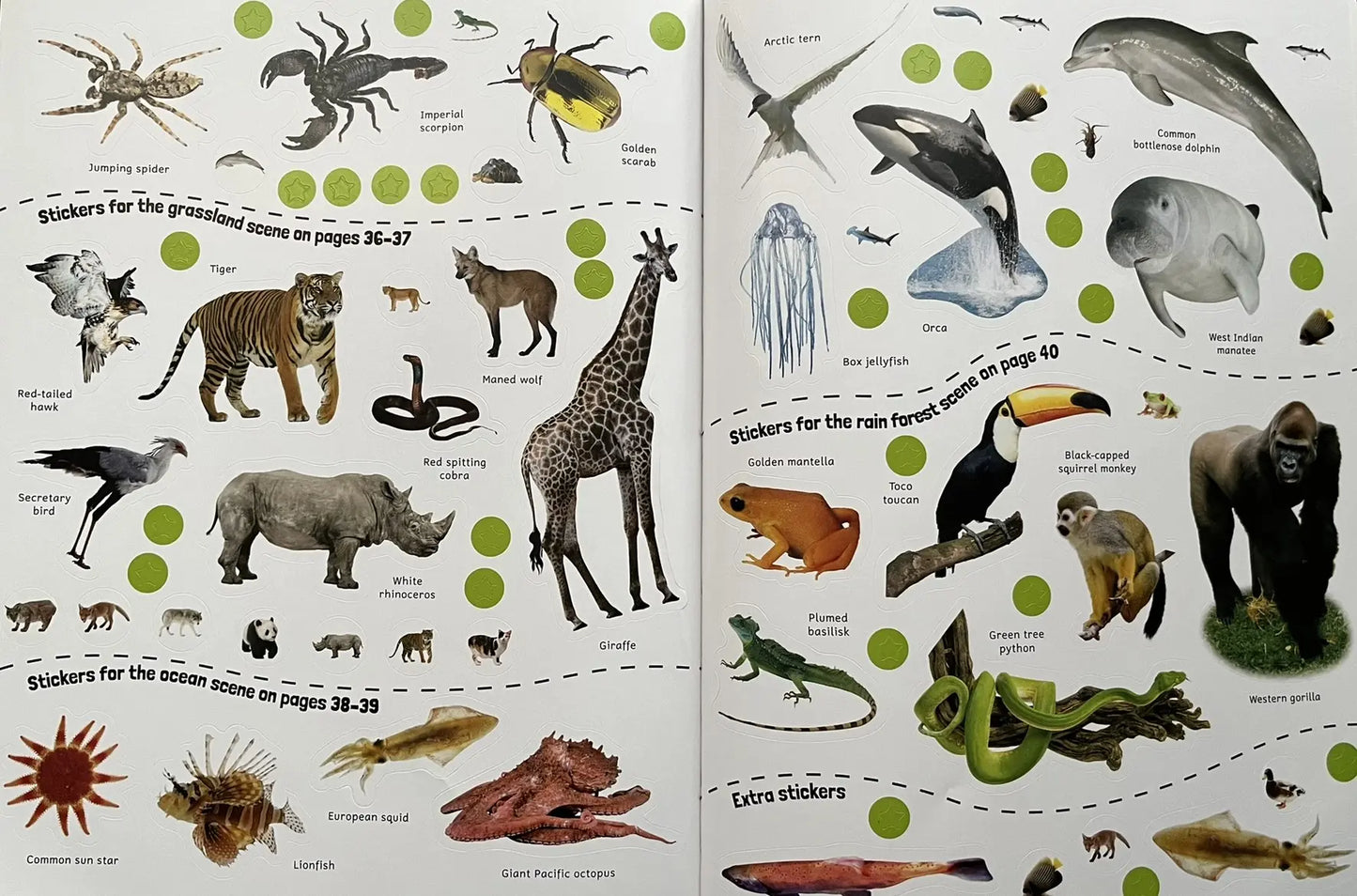 Sticker Encyclopedia Animals