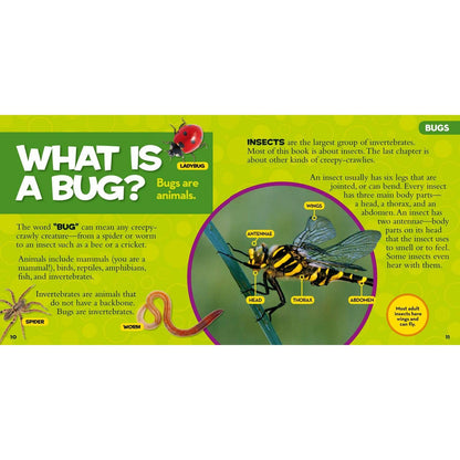 National Geographic Little Kids First Big Book of Bugs - MakoStars Online Store