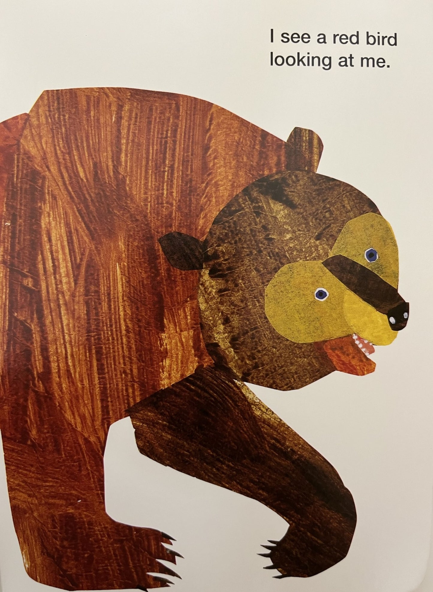 Brown Bear, Brown Bear, What Do You See? - MakoStars Online Store