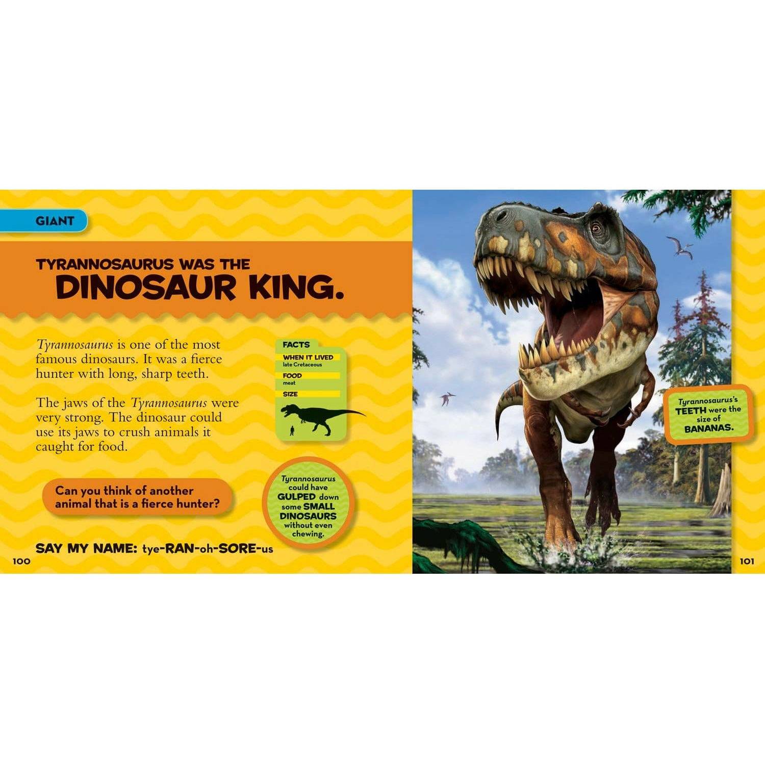National Geographic Little Kids First Big Book of Dinosaurs - MakoStars Online Store