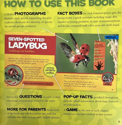 National Geographic Little Kids First Big Book of Bugs - MakoStars Online Store