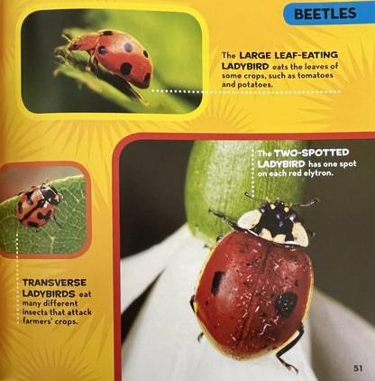 National Geographic Little Kids First Big Book of Bugs - MakoStars Online Store